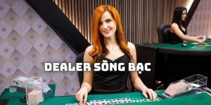 Tìm hiểu dealer là gì trong bộ môn sòng bạc trực tuyến